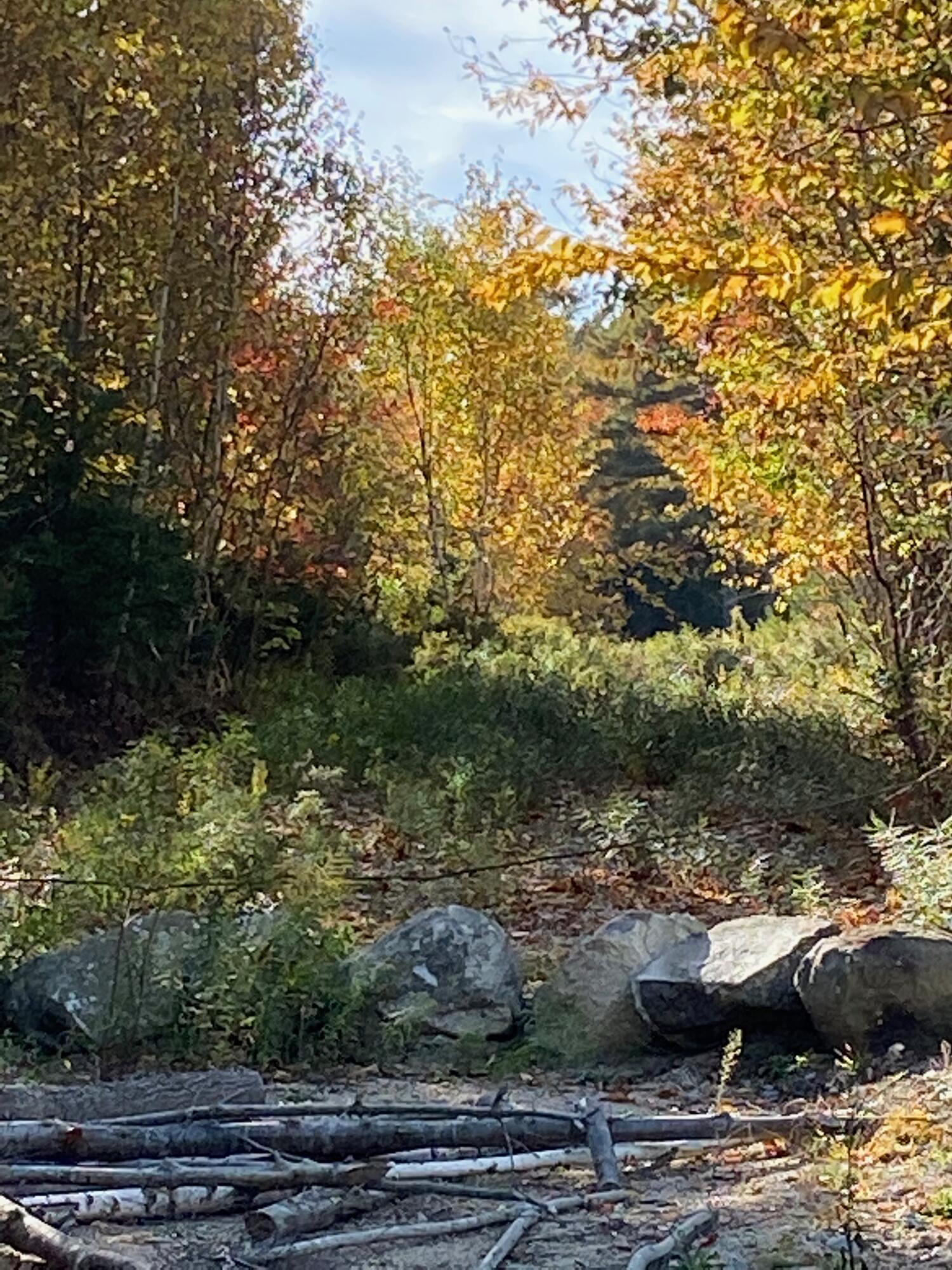 0 S Bay Road Franklin ME 04634