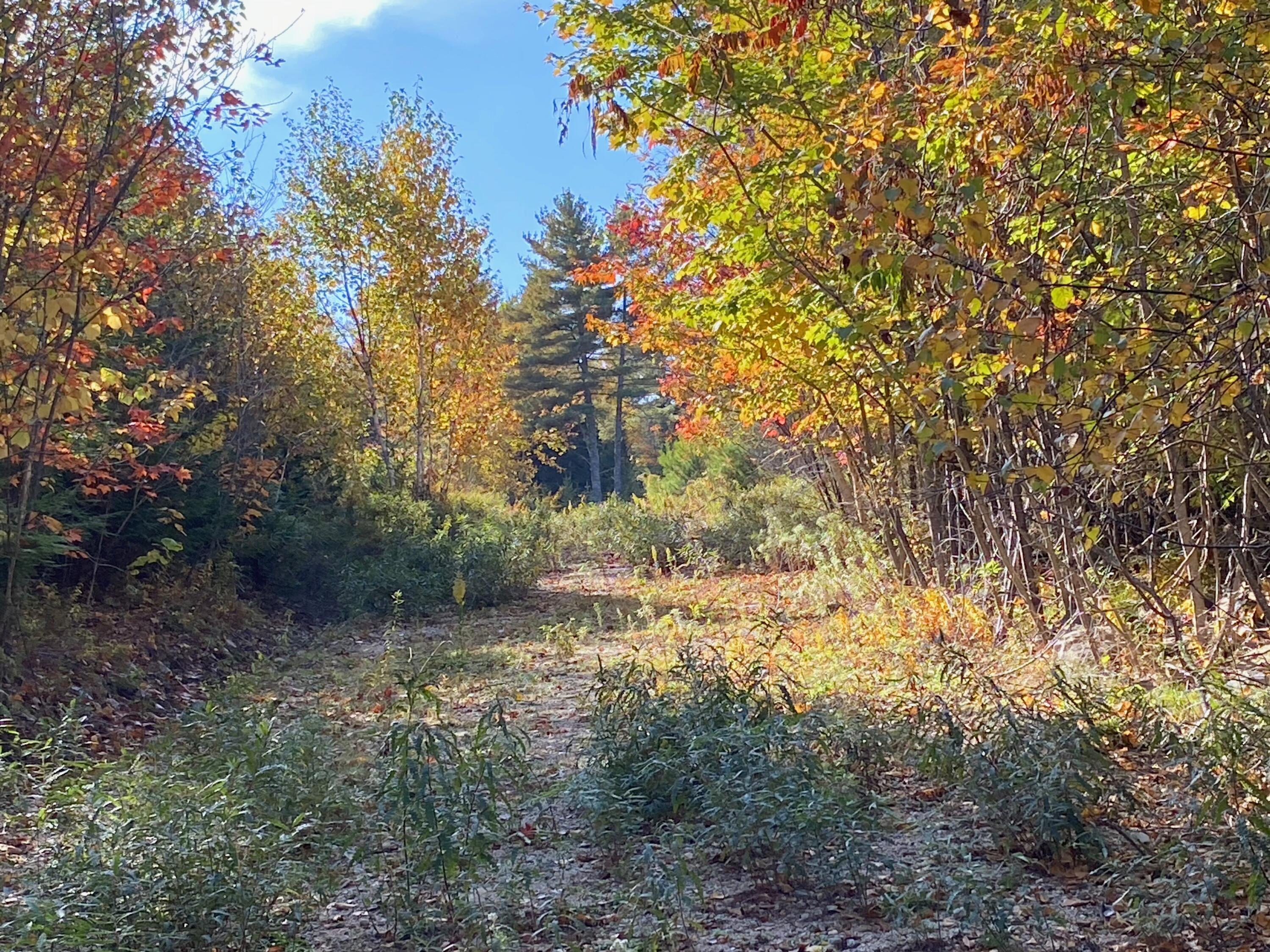 0 S Bay Road Franklin ME 04634