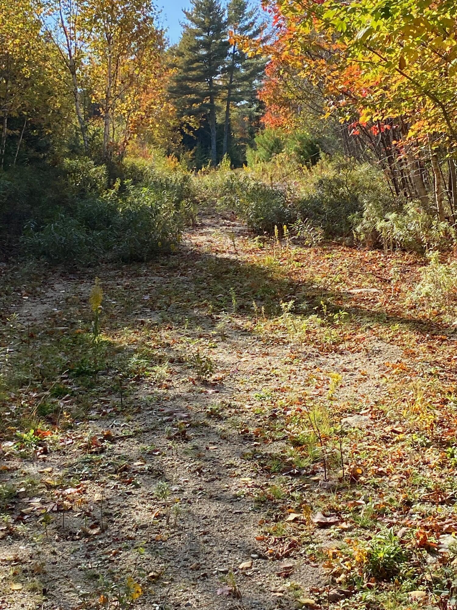 0 S Bay Road Franklin ME 04634