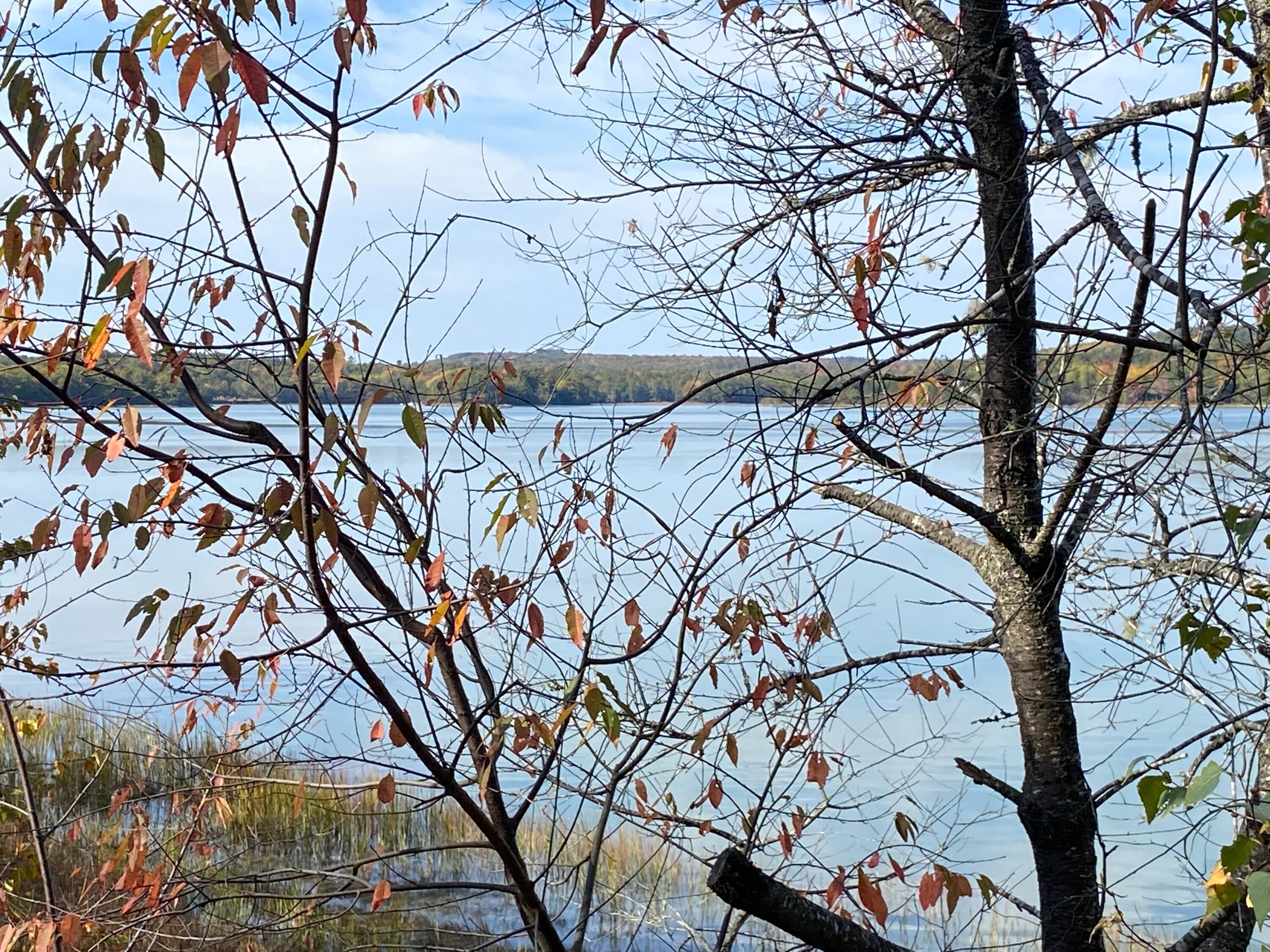 0 S Bay Road Franklin ME 04634