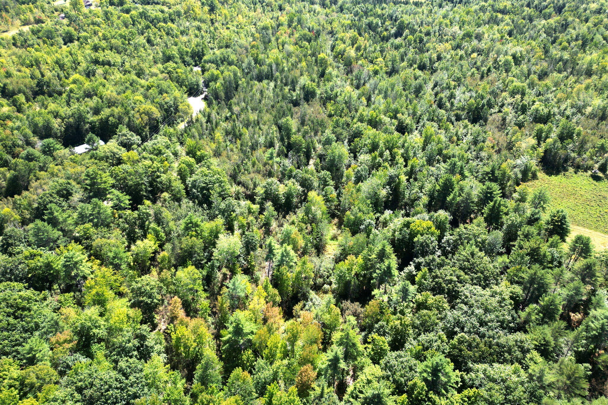 205 Gravy Lane Bradford ME 04410