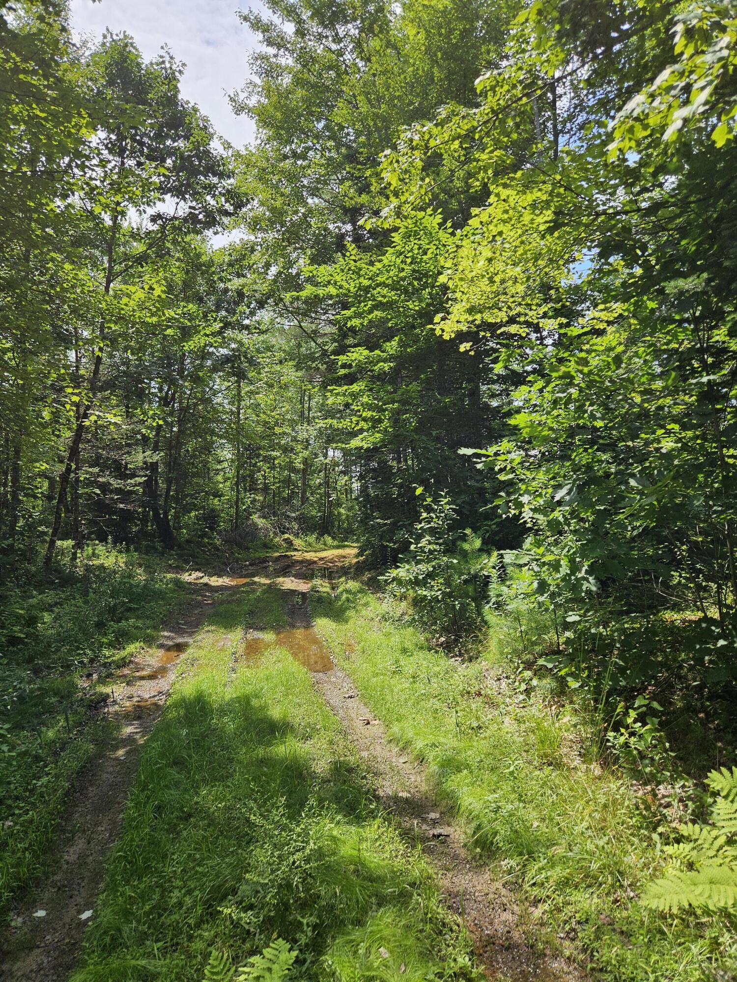 205 Gravy Lane Bradford ME 04410