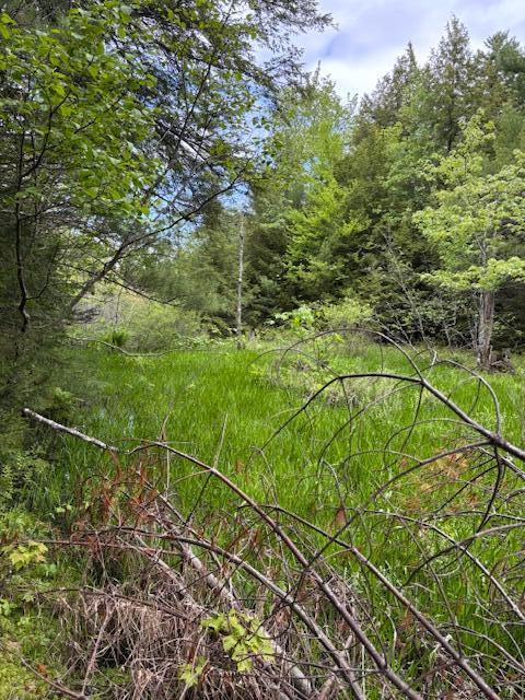 44A Trott Road Woolwich ME 04579