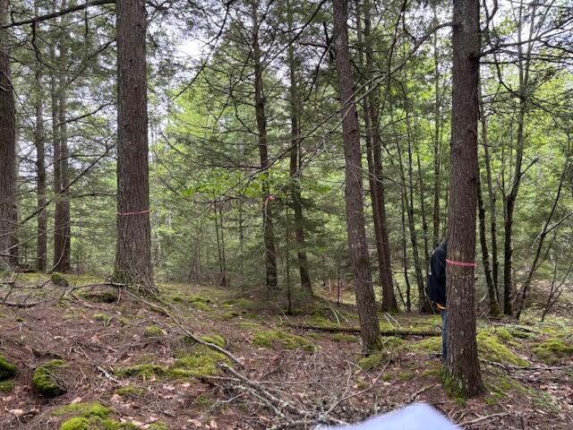 44A Trott Road Woolwich ME 04579