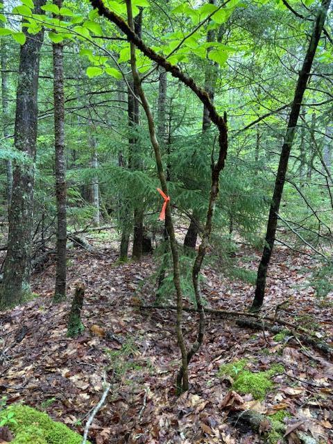 44A Trott Road Woolwich ME 04579