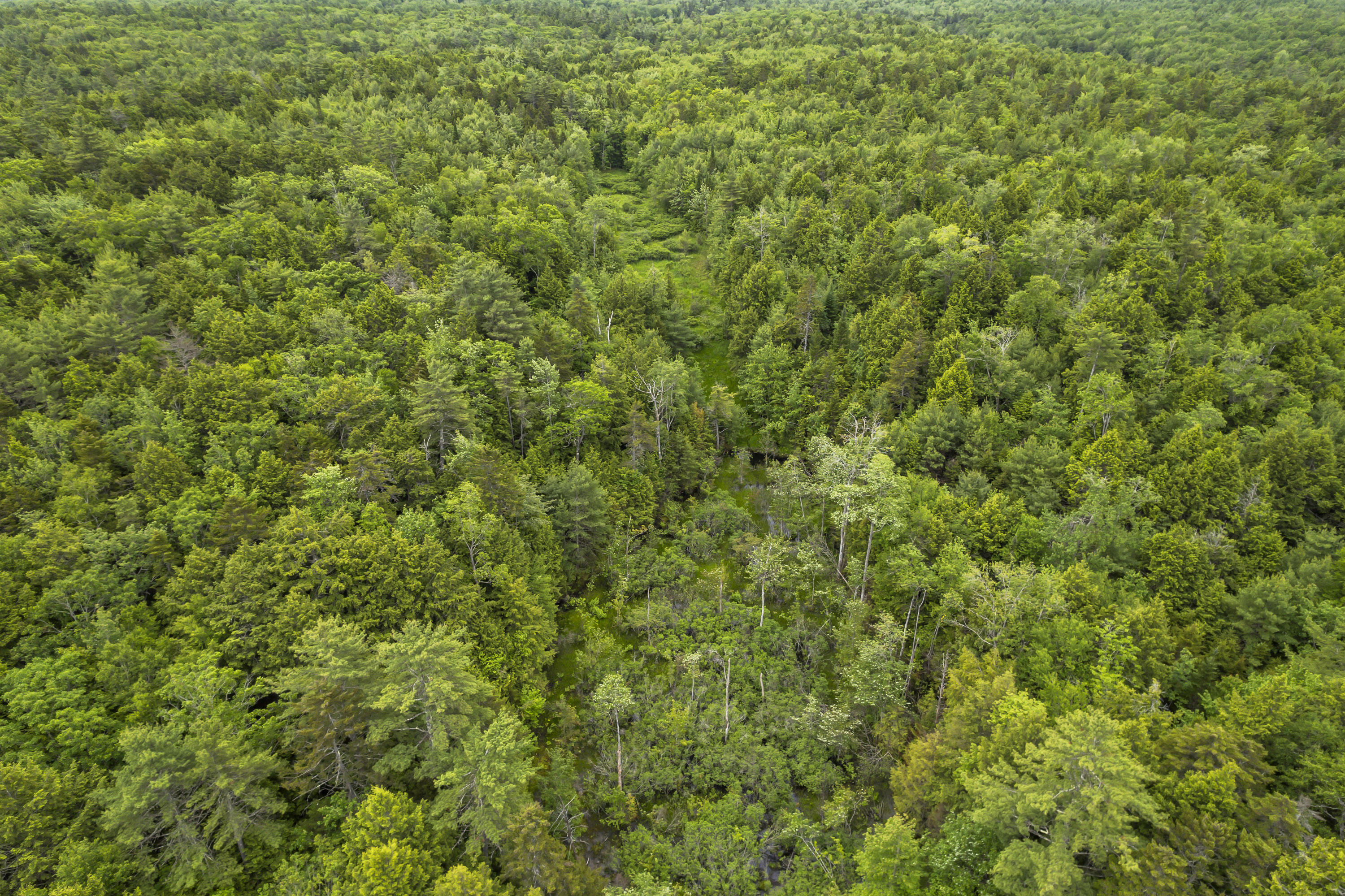 44A Trott Road Woolwich ME 04579