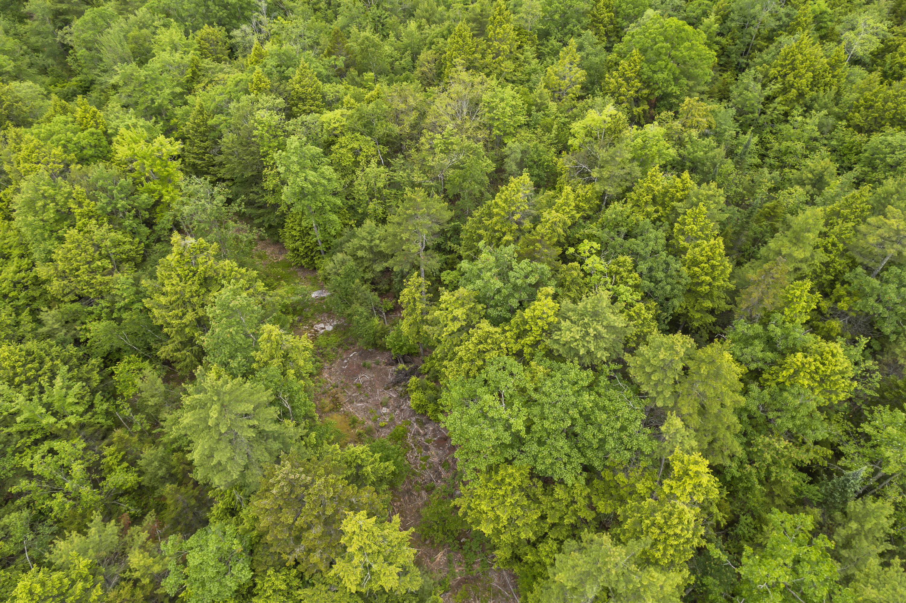 44A Trott Road Woolwich ME 04579