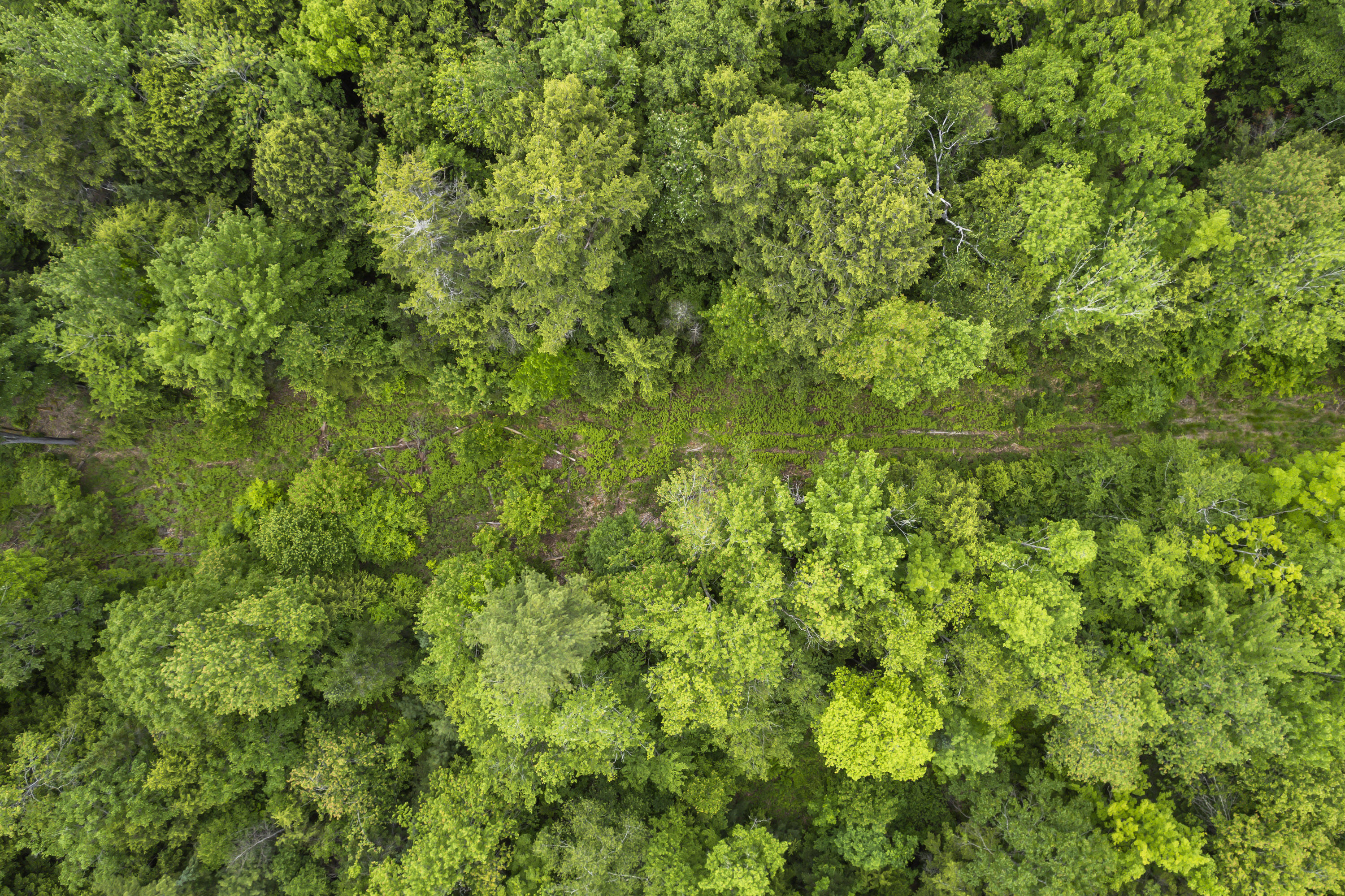 44A Trott Road Woolwich ME 04579