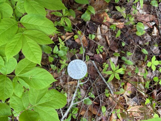 44A Trott Road Woolwich ME 04579