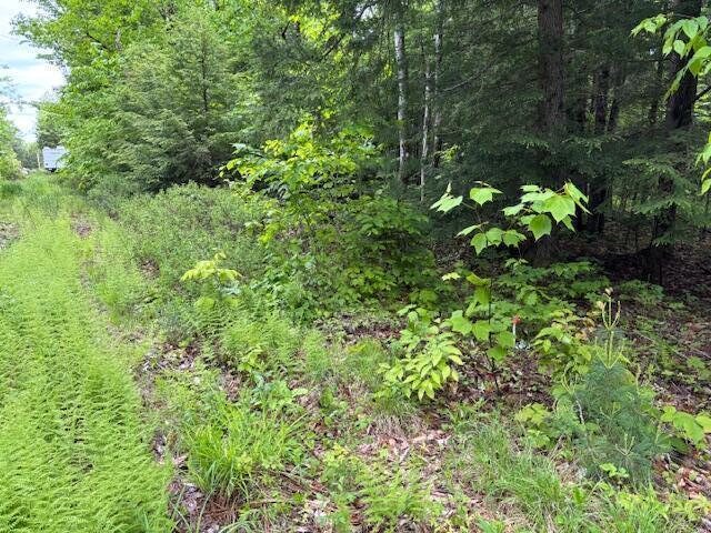 44A Trott Road Woolwich ME 04579