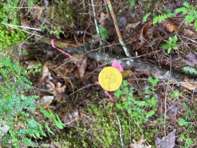 44A Trott Road Woolwich ME 04579