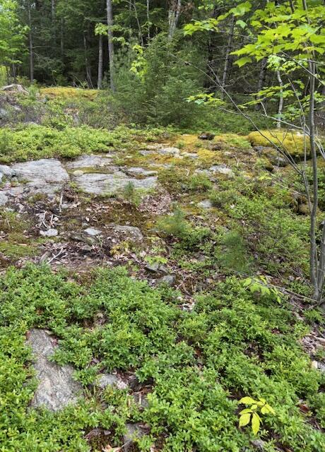 44A Trott Road Woolwich ME 04579