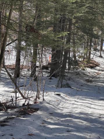 0 Lakeside Drive Windham ME 04062