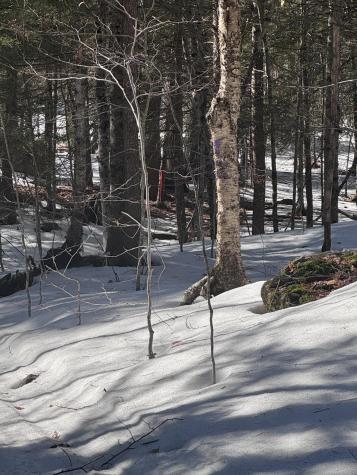 0 Lakeside Drive Windham ME 04062