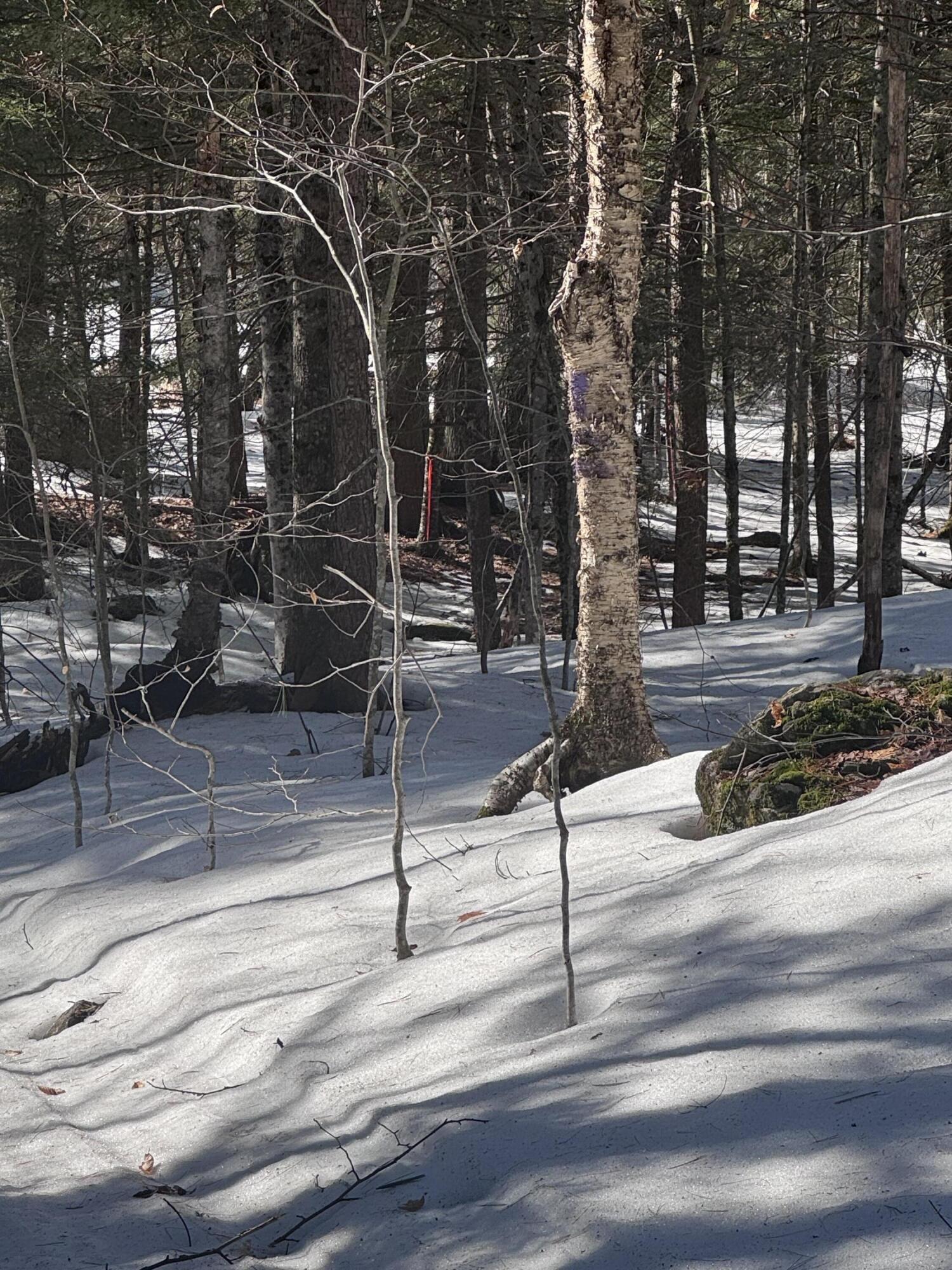 0 Lakeside Drive Windham ME 04062