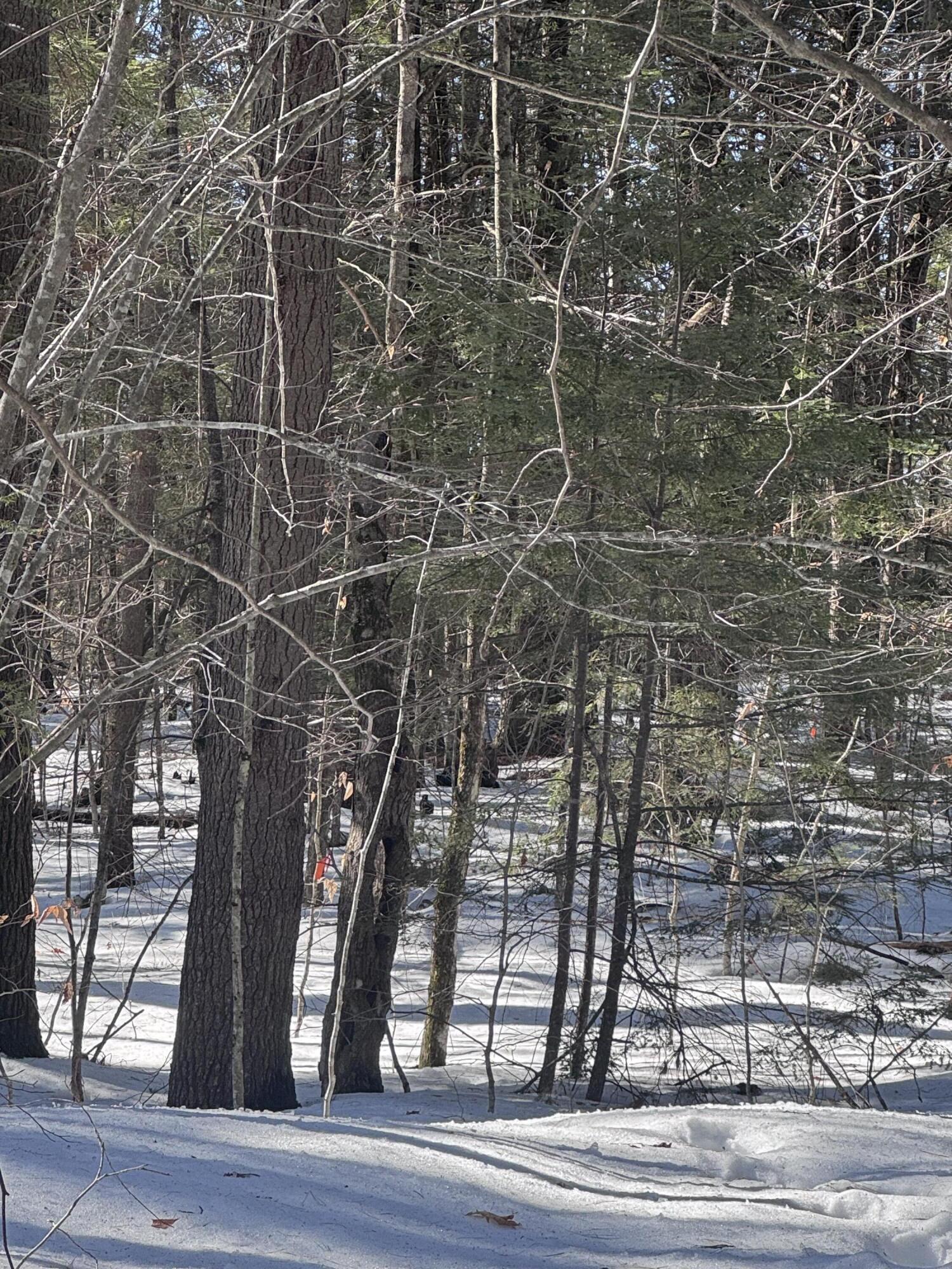 0 Lakeside Drive Windham ME 04062