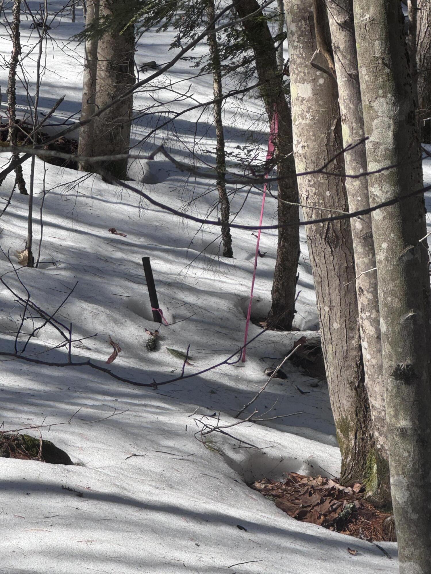 0 Lakeside Drive Windham ME 04062