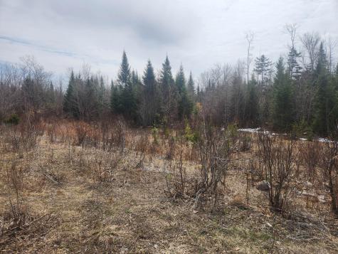 M4L2L2B West Chapman Road Chapman ME 04757