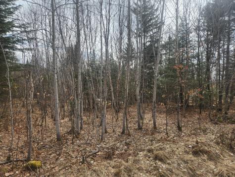 M4L2L2B West Chapman Road Chapman ME 04757