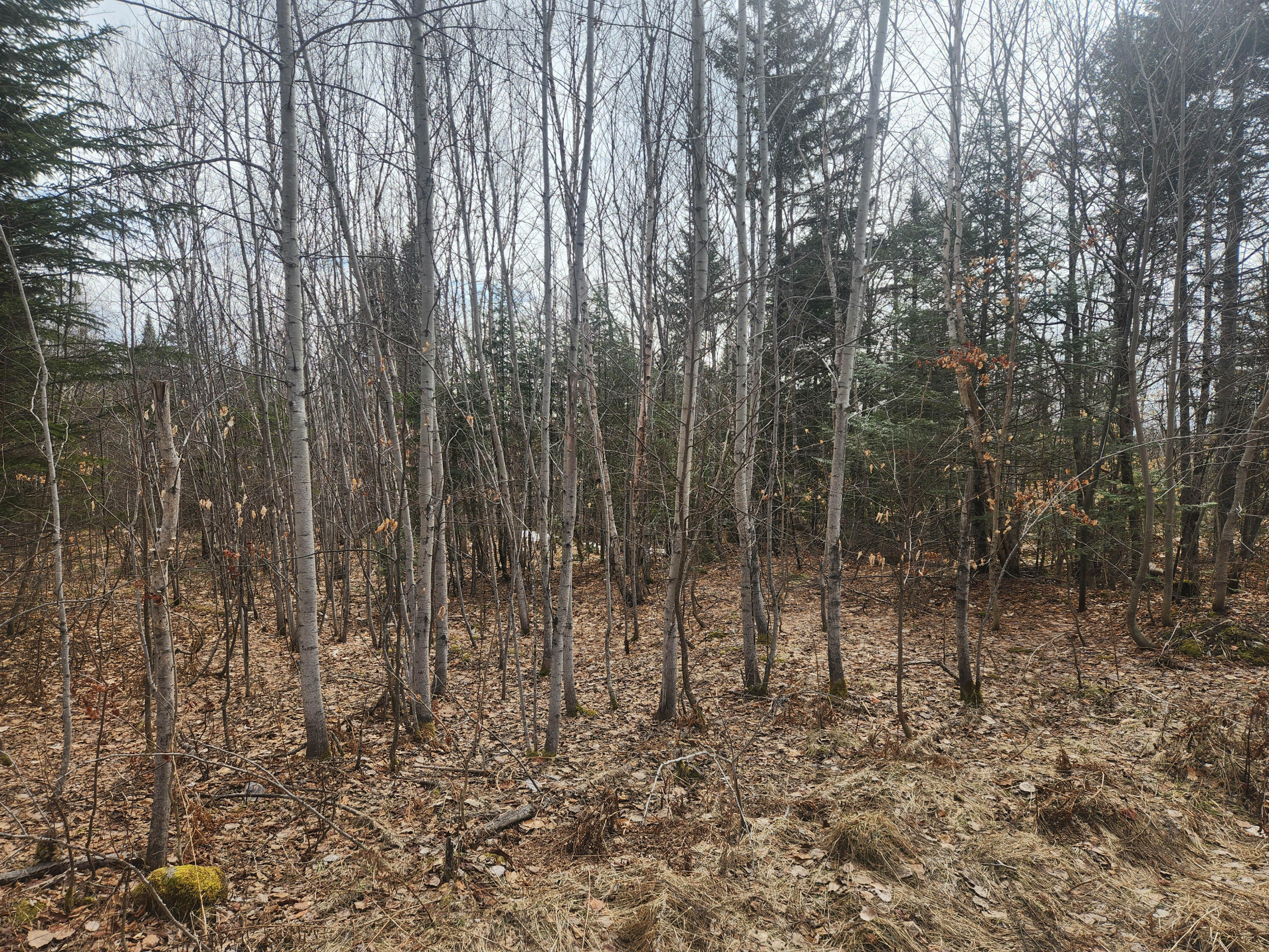M4L2L2B West Chapman Road Chapman ME 04757