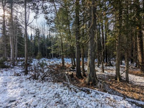 Map 2 Lot 4-2b Kennebago Road Coplin Plt ME 04970