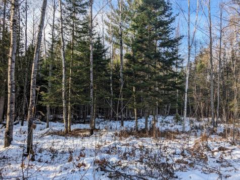 Map 2 Lot 4-2b Kennebago Road Coplin Plt ME 04970