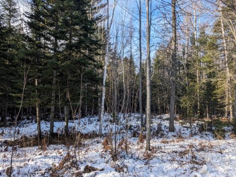Map 2 Lot 4-2b Kennebago Road Coplin Plt ME 04970