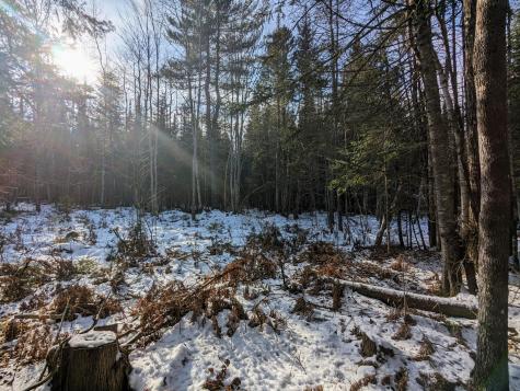 Map 2 Lot 4-2b Kennebago Road Coplin Plt ME 04970