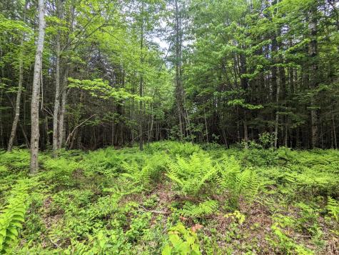 Map 2 Lot 4-2b Kennebago Road Coplin Plt ME 04970