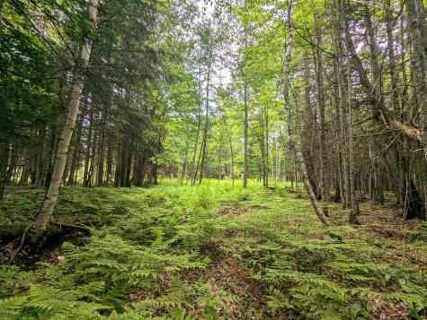 Map 2 Lot 4-2b Kennebago Road Coplin Plt ME 04970