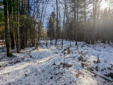 Map 2 Lot 4-2b Kennebago Road Coplin Plt ME 04970