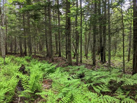 Map 2 Lot 4-2b Kennebago Road Coplin Plt ME 04970