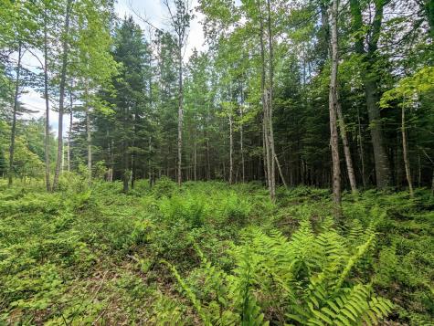 Map 2 Lot 4-2b Kennebago Road Coplin Plt ME 04970