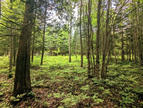 Map 2 Lot 4-2b Kennebago Road Coplin Plt ME 04970