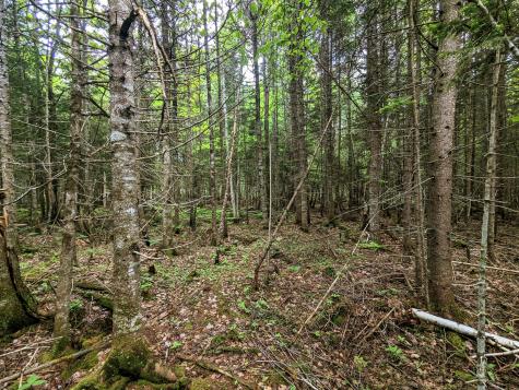 Map 2 Lot 4-2b Kennebago Road Coplin Plt ME 04970