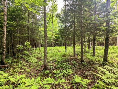 Map 2 Lot 4-2b Kennebago Road Coplin Plt ME 04970