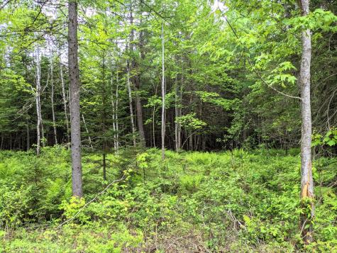 Map 2 Lot 4-2b Kennebago Road Coplin Plt ME 04970