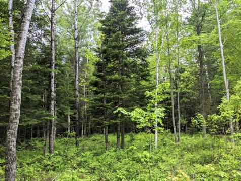 Map 2 Lot 4-2b Kennebago Road Coplin Plt ME 04970
