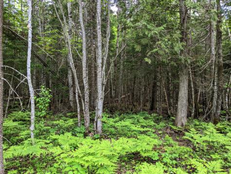 Map 2 Lot 4-2b Kennebago Road Coplin Plt ME 04970