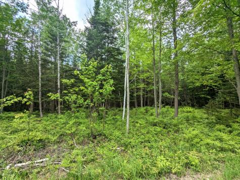 Map 2 Lot 4-2b Kennebago Road Coplin Plt ME 04970
