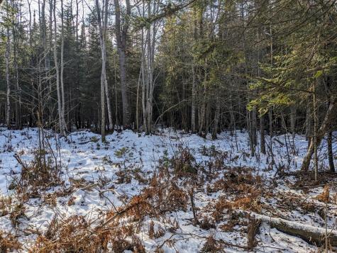 Map 2 Lot 4-2b Kennebago Road Coplin Plt ME 04970