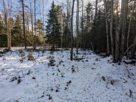 Map 2 Lot 4-2b Kennebago Road Coplin Plt ME 04970