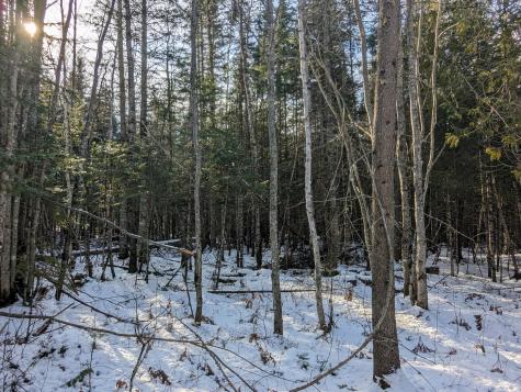 Map 2 Lot 4-2b Kennebago Road Coplin Plt ME 04970