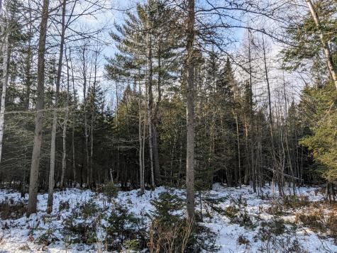 Map 2 Lot 4-2b Kennebago Road Coplin Plt ME 04970