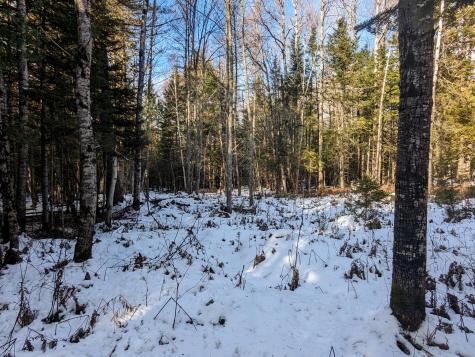 Map 2 Lot 4-2b Kennebago Road Coplin Plt ME 04970
