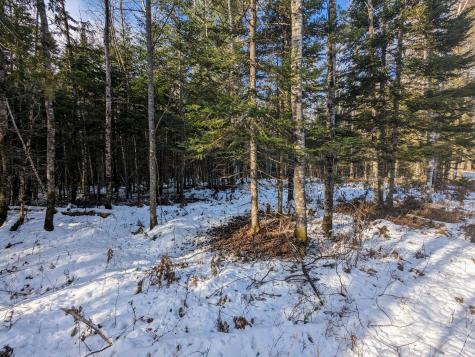 Map 2 Lot 4-2b Kennebago Road Coplin Plt ME 04970