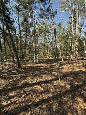 40 Eastwood Court Bristol ME 04539