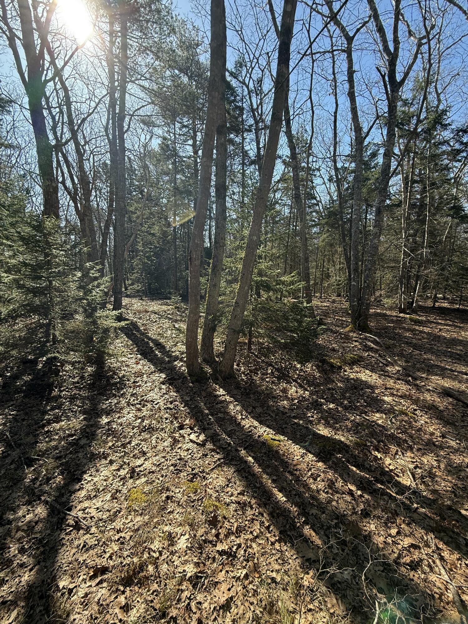 40 Eastwood Court Bristol ME 04539