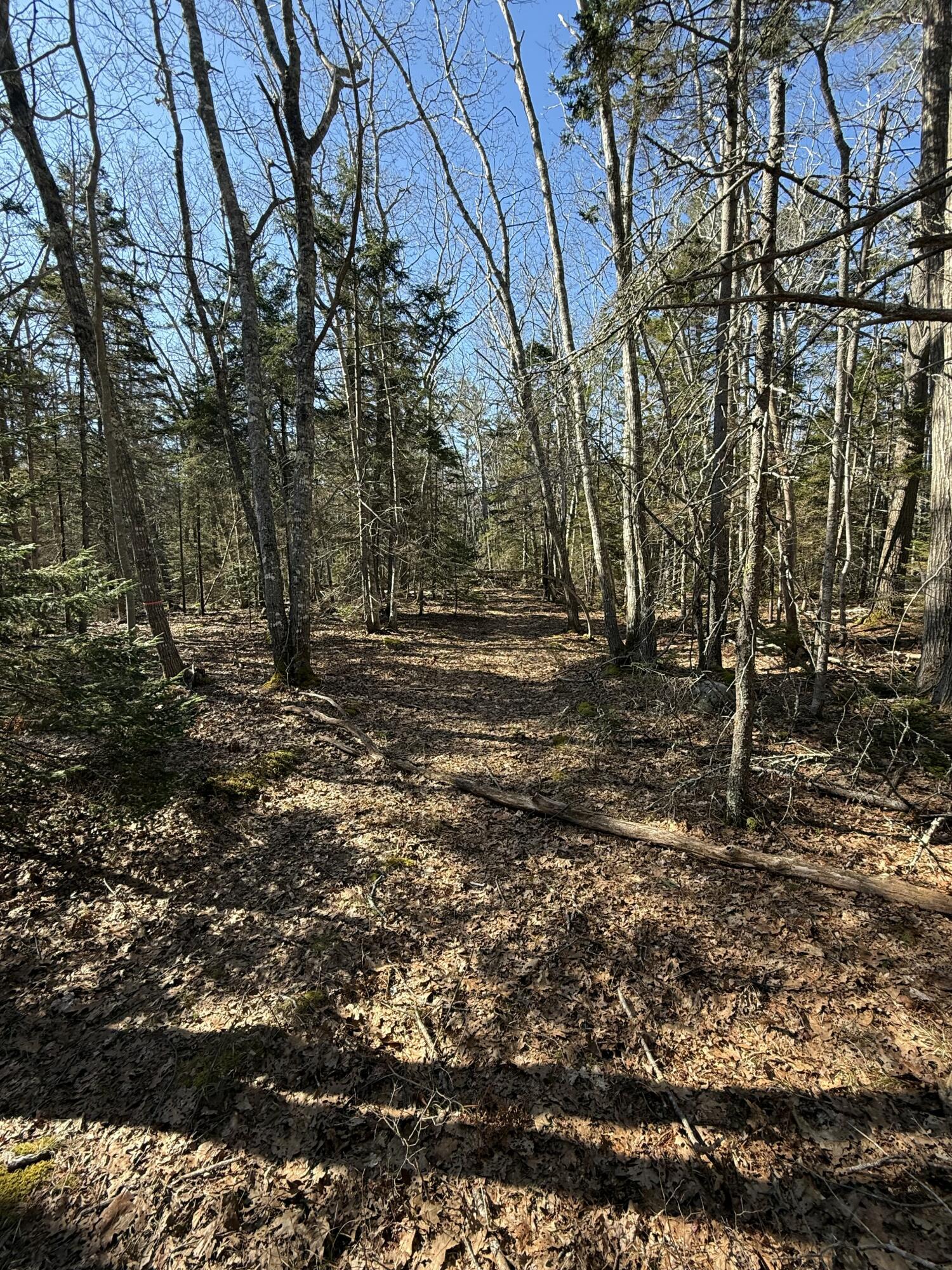 40 Eastwood Court Bristol ME 04539