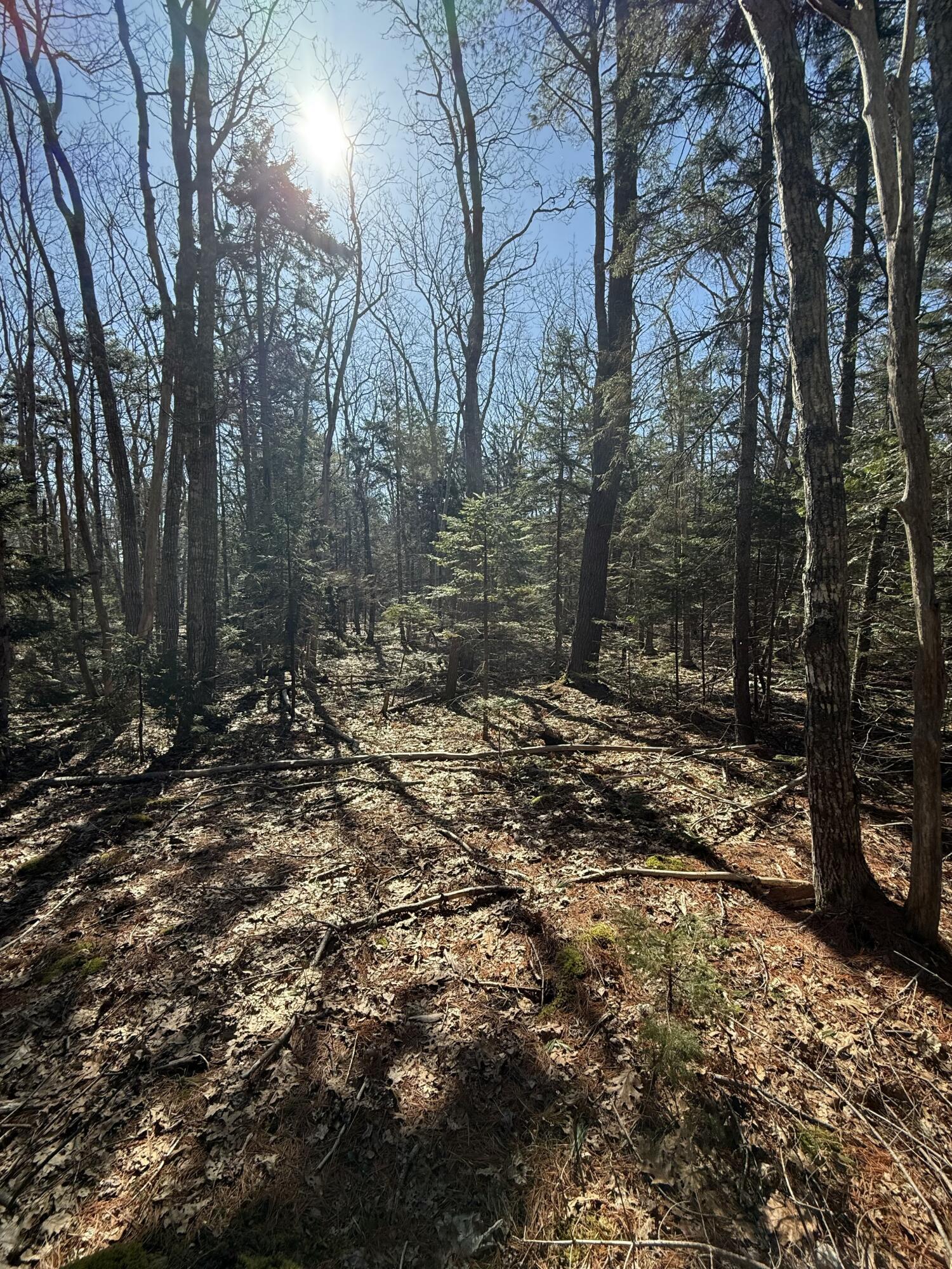 40 Eastwood Court Bristol ME 04539